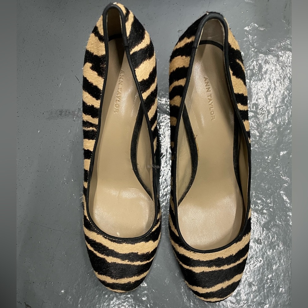 Ann Taylor Black and Tan Zebra Print Women's Shoes